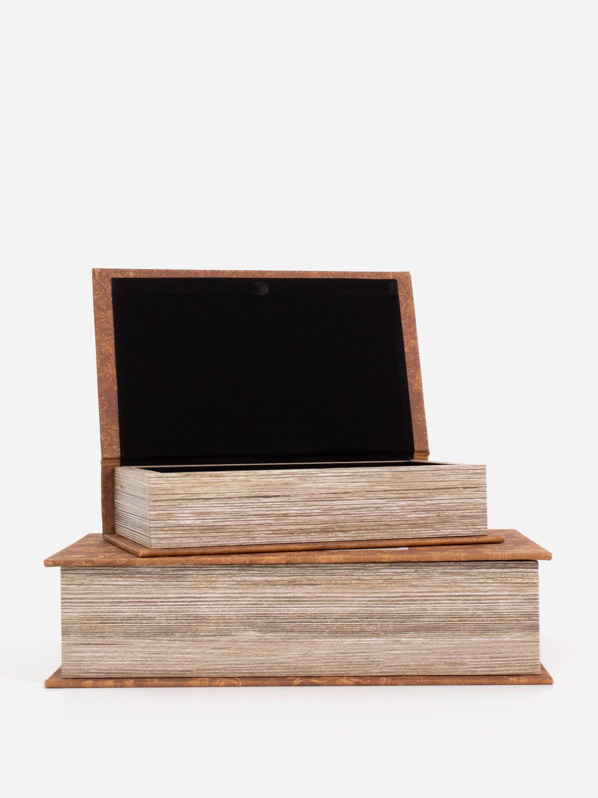 Sepia Muse Book Box Set
