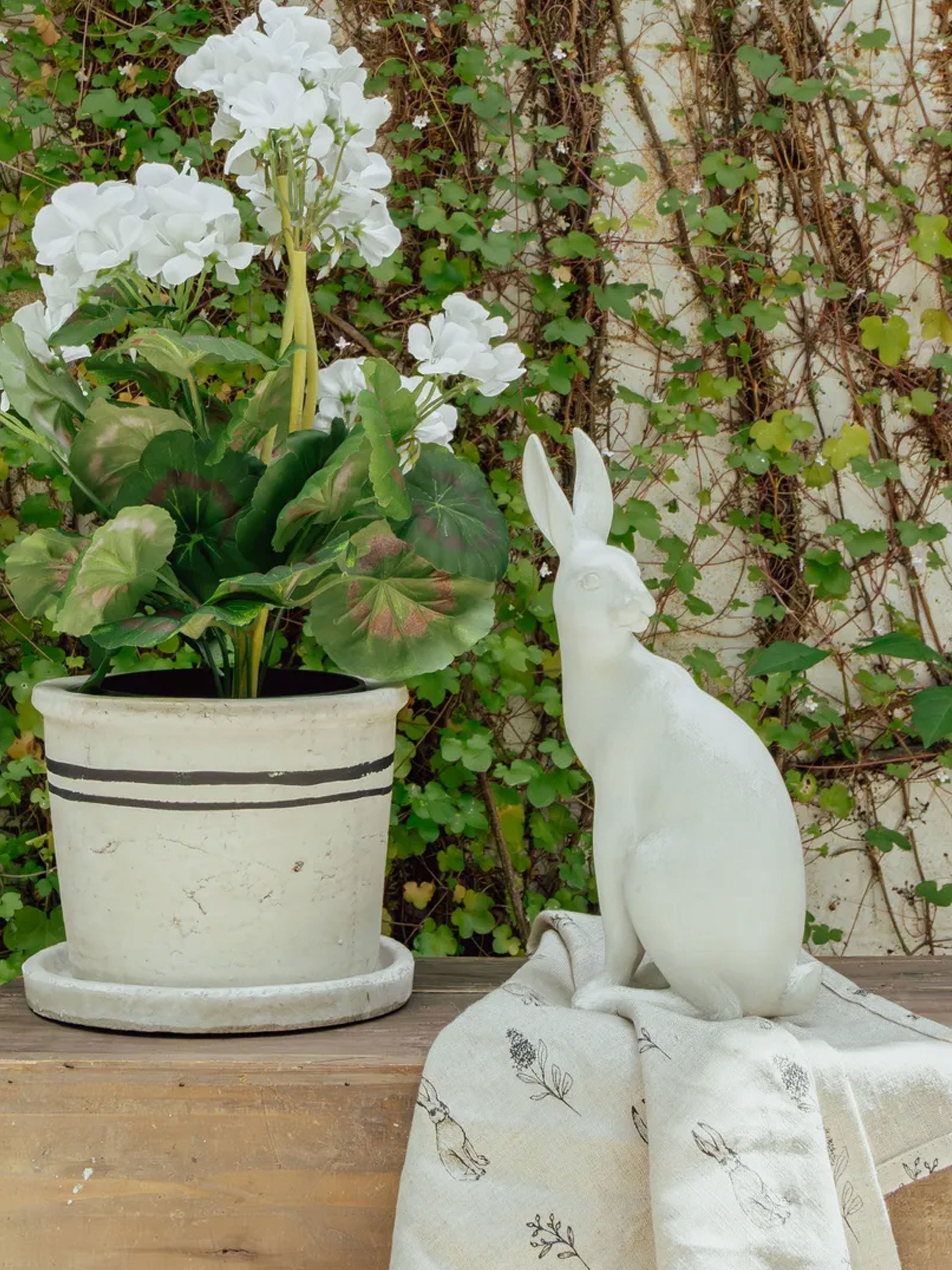 Small Harold the Hare Turning