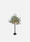 Light up Olive Tree - Dark Leaf