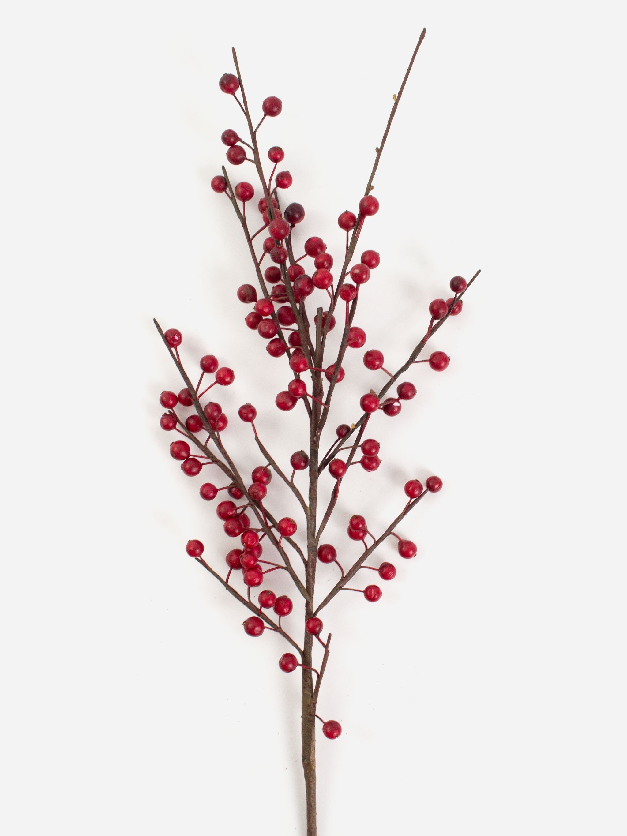 Tall Ilex Berry Spray