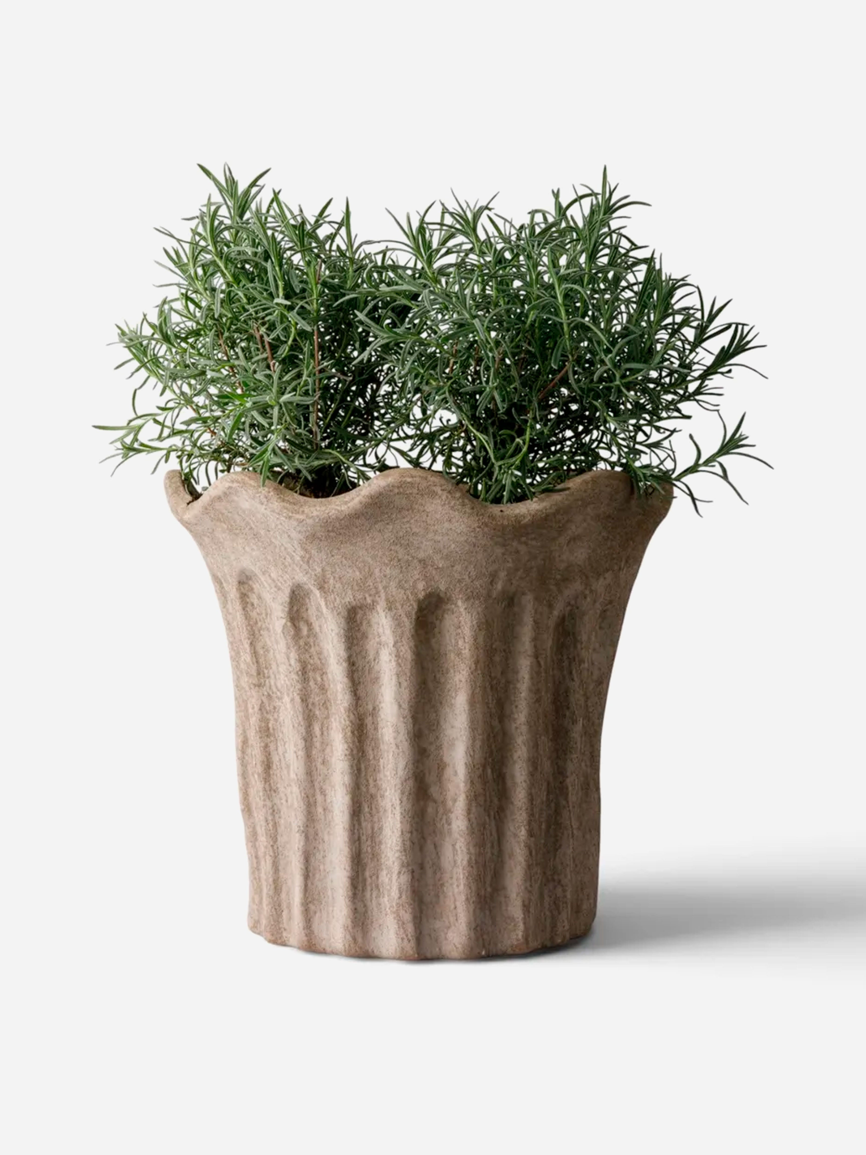 Terra Fluted Planter