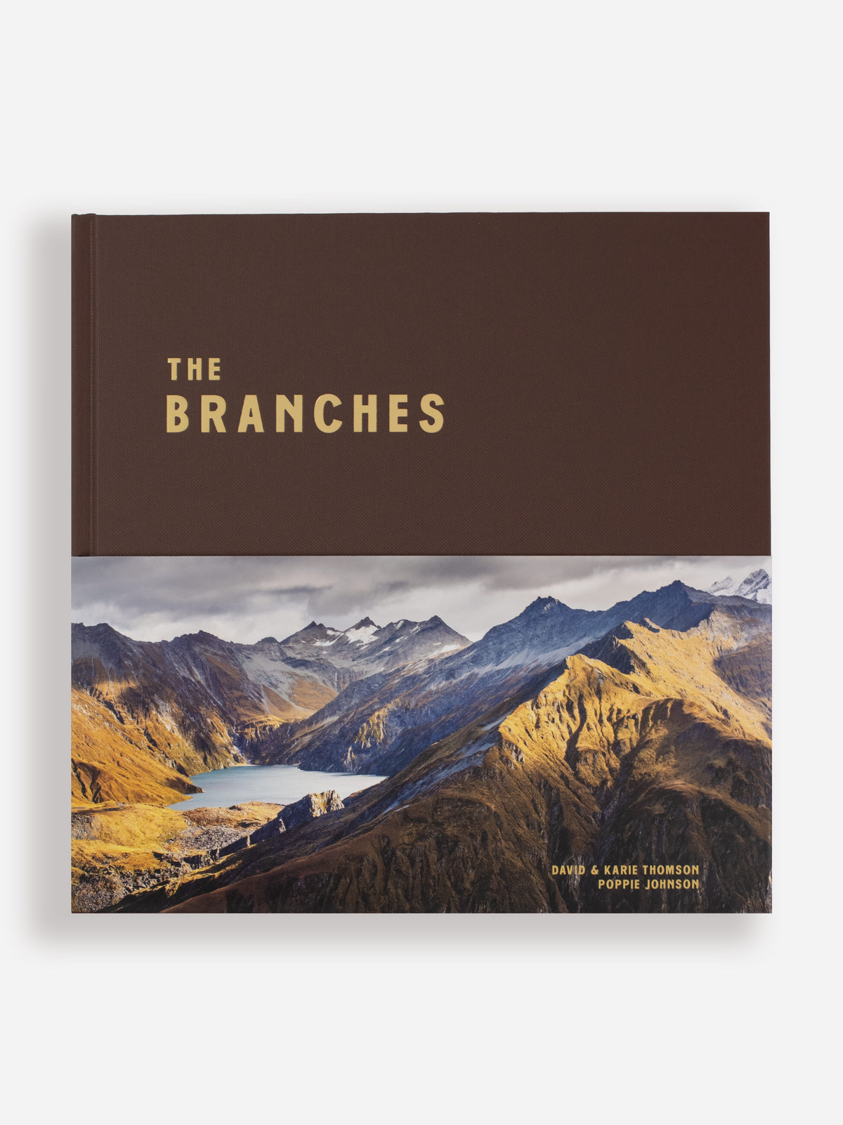 The Branches