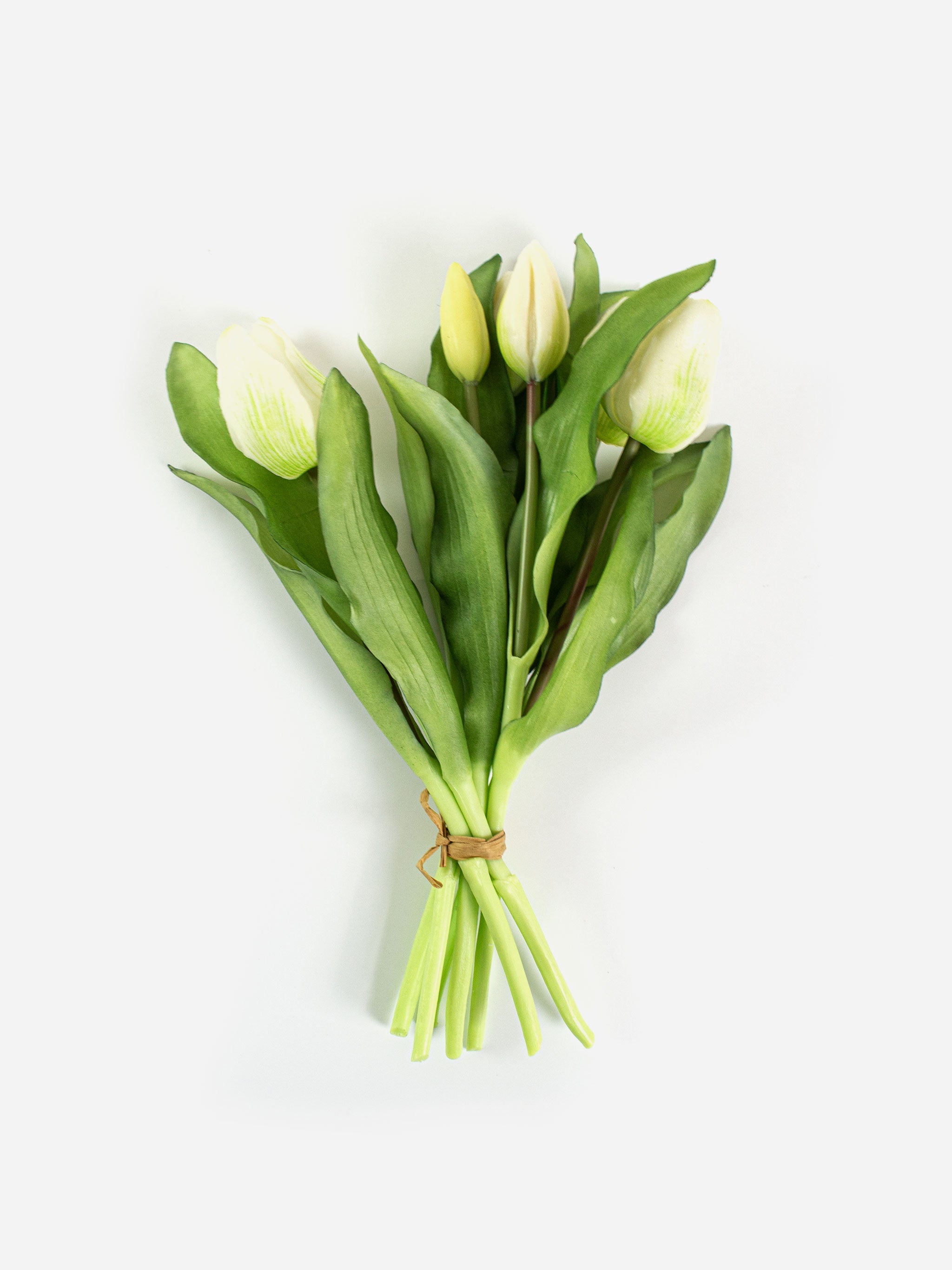 Tulip Bouquet