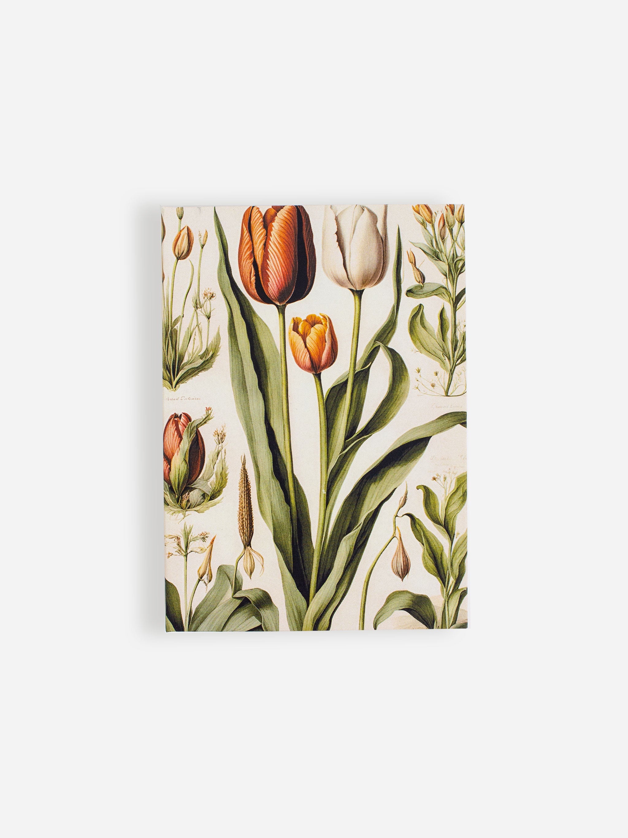 Tulips Jotter Pad