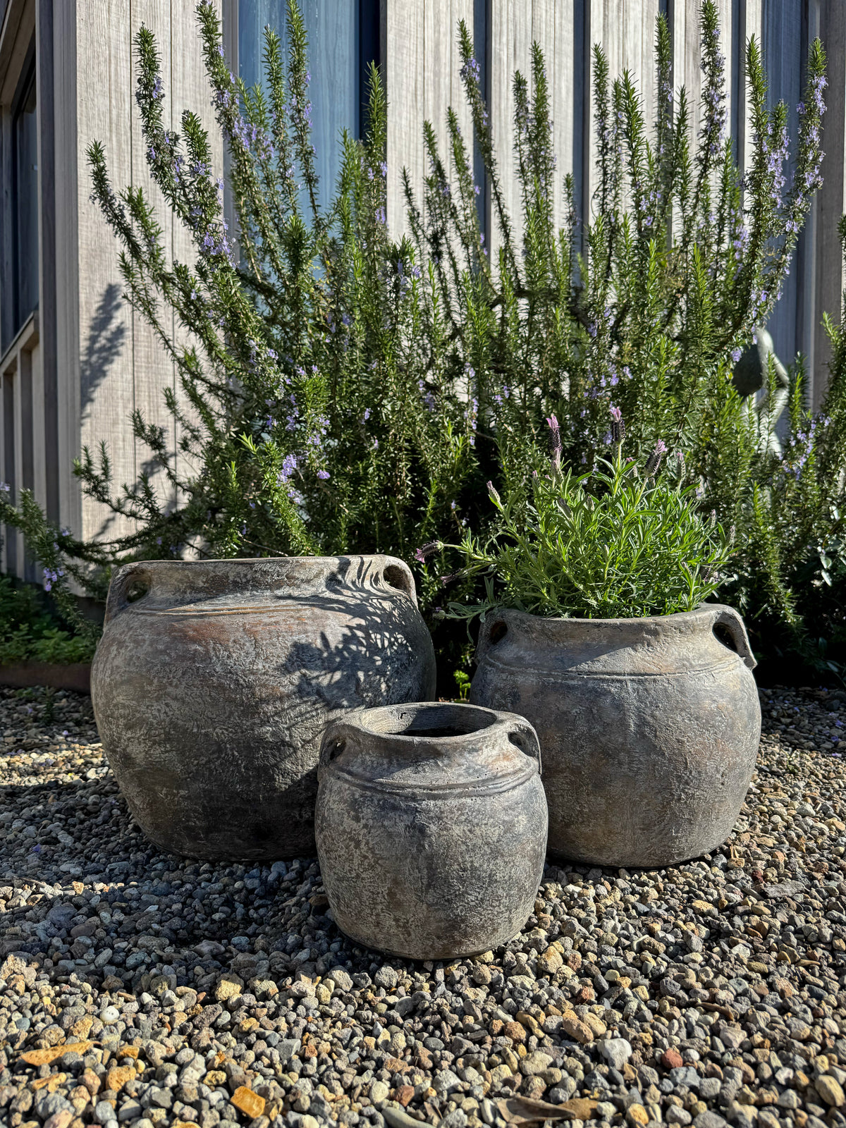 Sumatra Budi Pot
