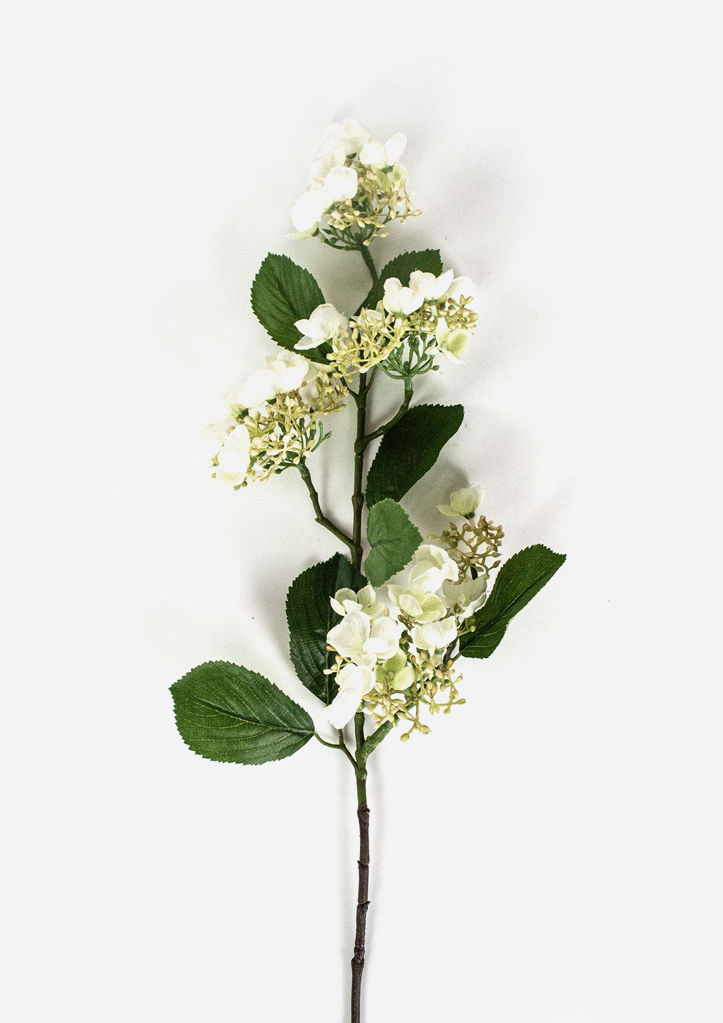 Viburnum Spray