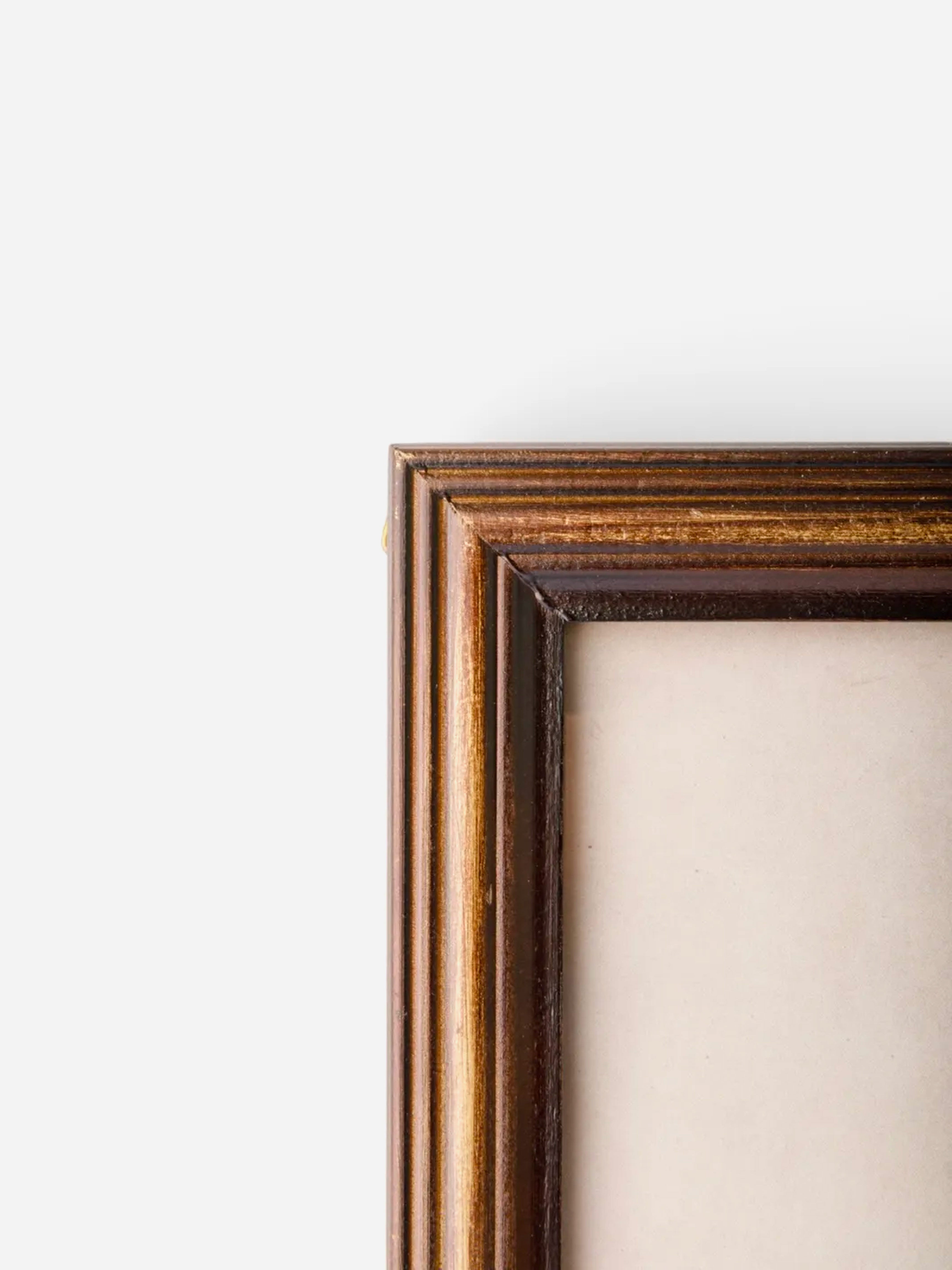 Vintage Poplar Tree Sketch Wall Art