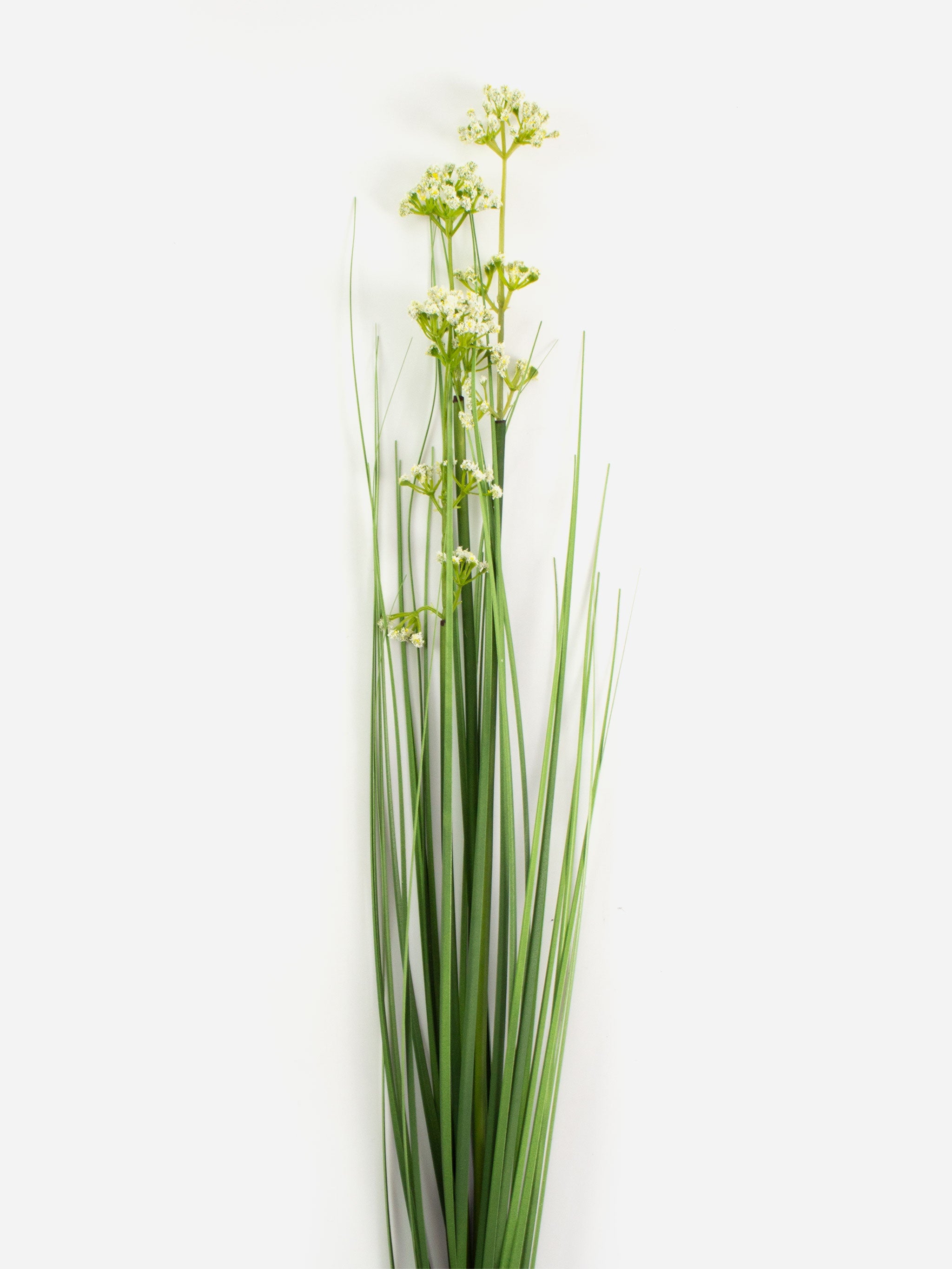 Wild Meadow Grass Green