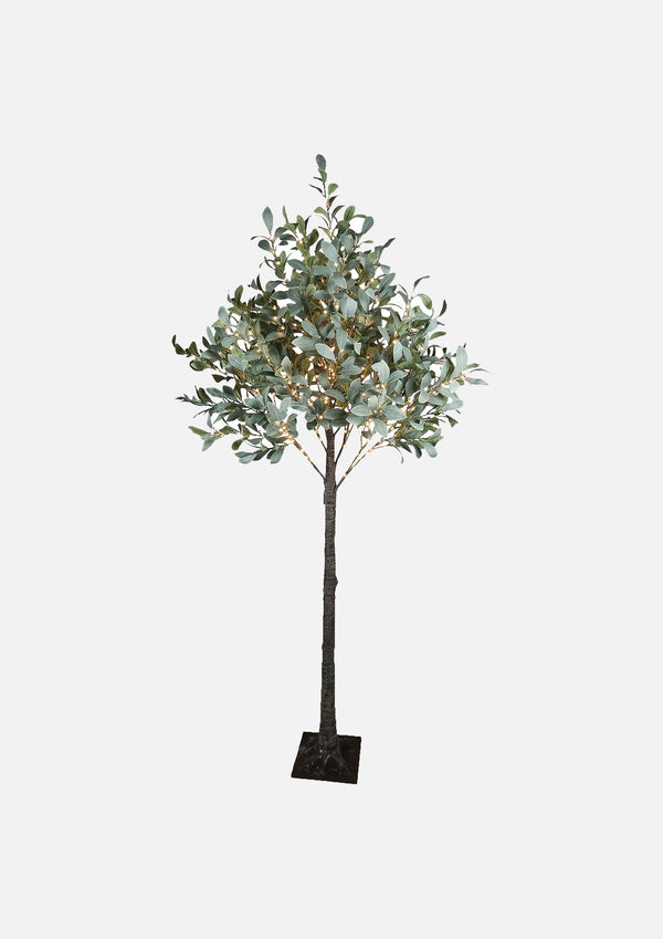 Light up Olive Tree - Dark Leaf