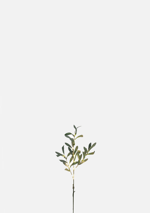 Olive Light Up Branch