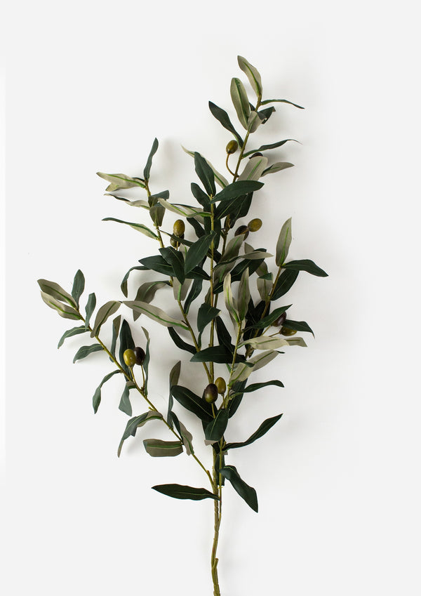 Green Leaf Olive Branch with Olives x 100cm