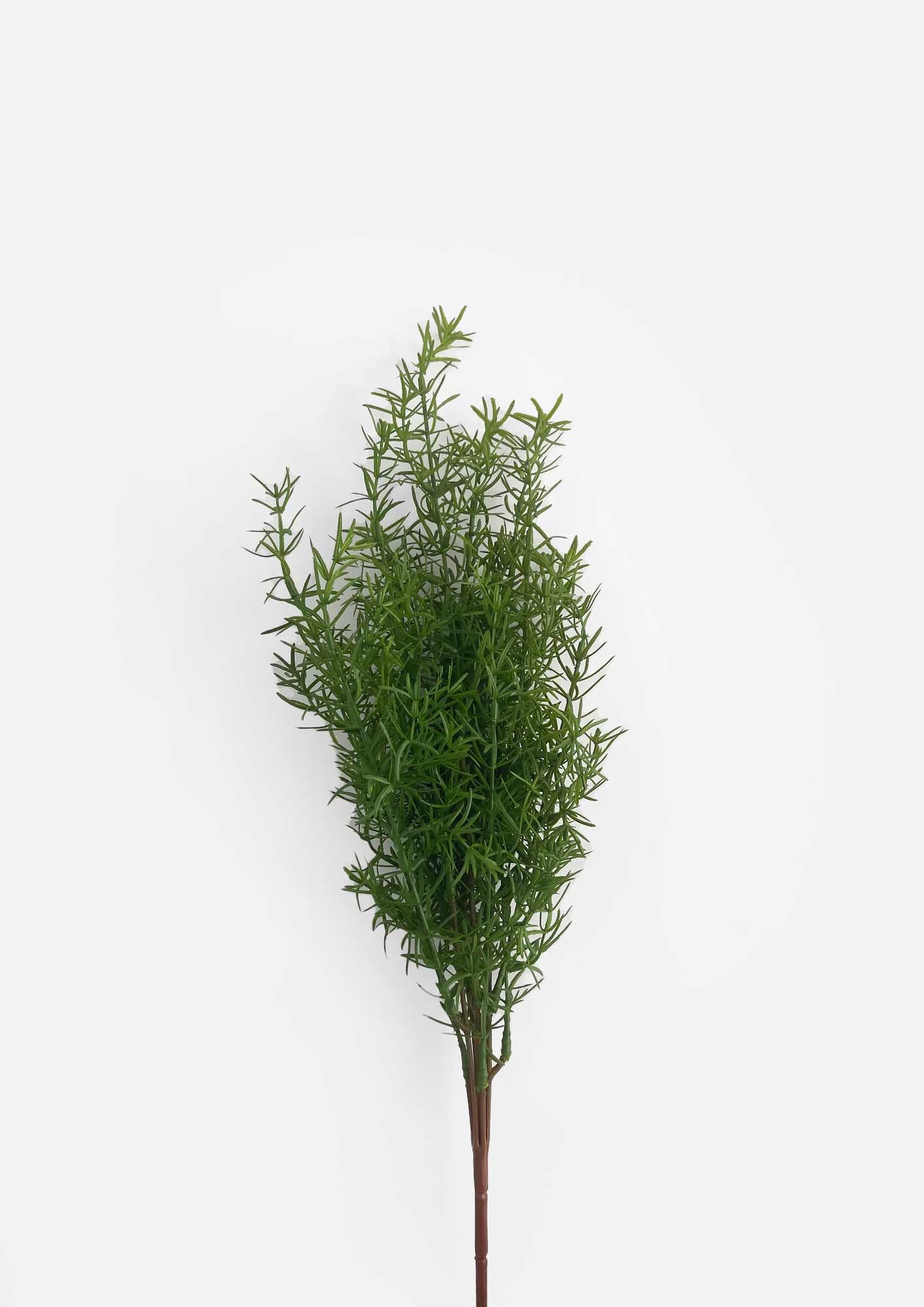 Real Touch Asparagus Fern