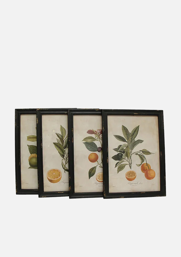 Botanical Wall Art