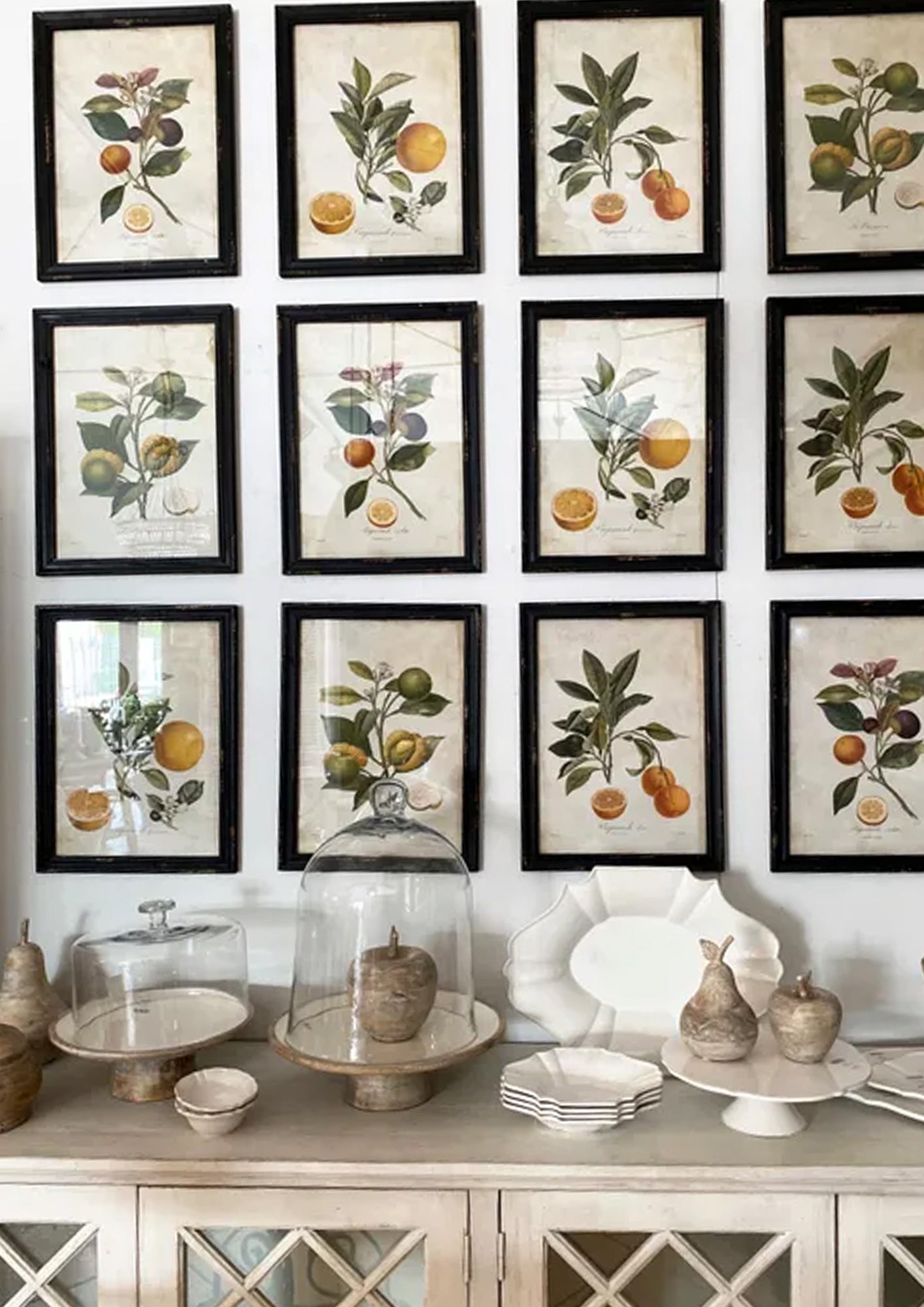 Botanical Wall Art